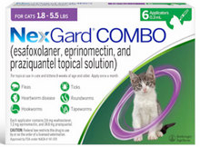 FELINE NexGard® COMBO 12 PACK