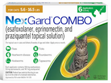 FELINE NexGard® COMBO 12 PACK