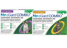 FELINE NexGard® COMBO 12 PACK