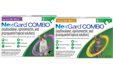 FELINE NexGard® COMBO 12 PACK