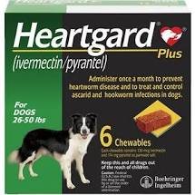 HEARTGARD® Plus 12 pack
