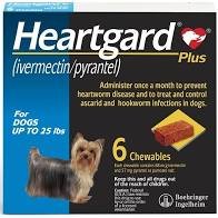 HEARTGARD® Plus 12 pack