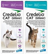 Credelio Feline (Flea/Tick Chew Tab) 12 pack