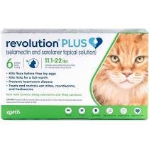 Revolution Plus for Cats 12 pack